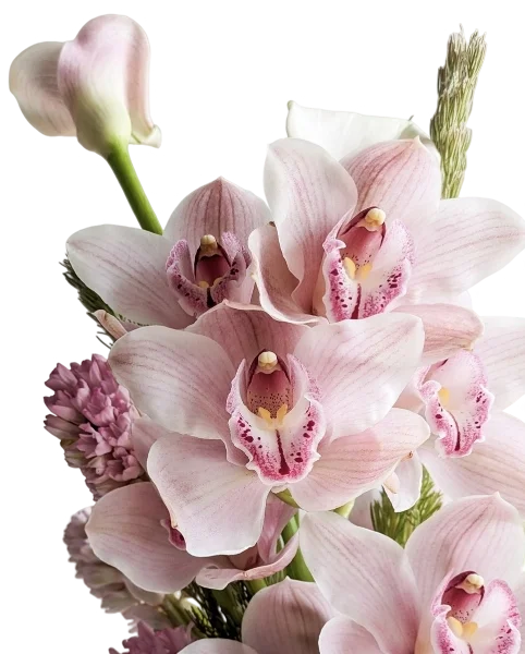 A cut arrangement of blush cymbidium orchids and calla lilies