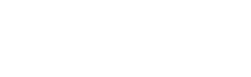 Designer Cut Flowers