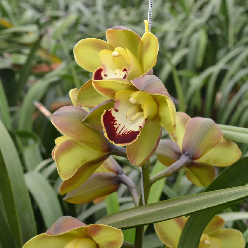 Shop Primary Image